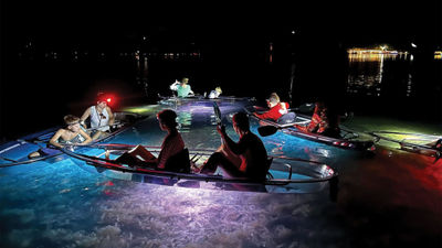 A night tour with I Can See Clear Kayaking Tours in the Florida Keys lights up the bay bottom.