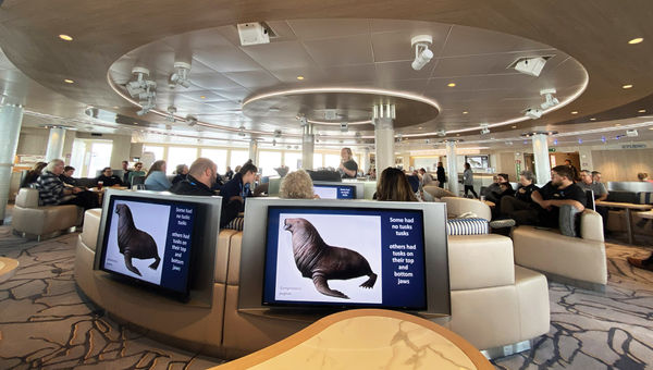 Guests on the National Geographic Endurance learn about walruses.