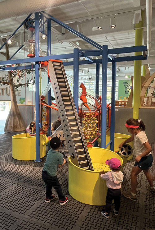 The interactive Bean Machine exhibit at the museum.