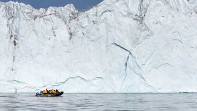 What Experiences Are Expedition Cruisers Seeking?